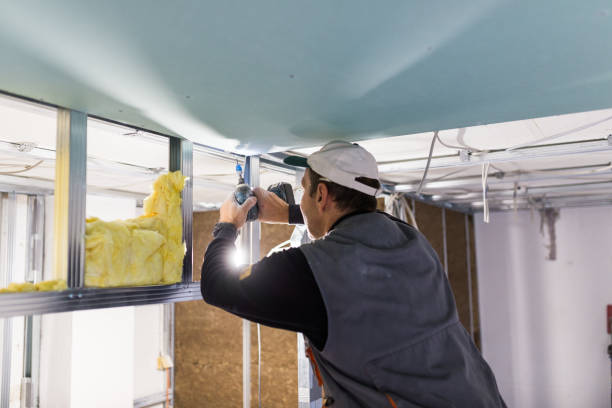 Best Insulation Installation Services in Central City, KY
